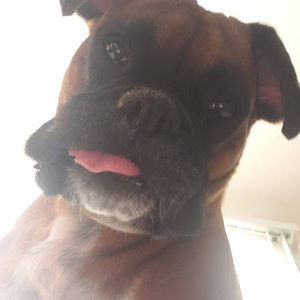 Meet your Posher, Jamie